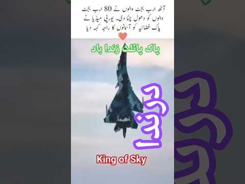 Pak Piolet Zindabad #iran #india #duet #funny #america #israel #china #visitors #love #pakistan