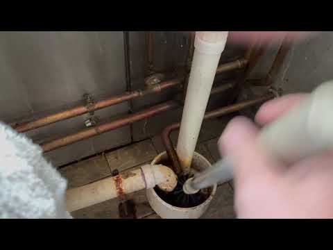 Cleaning Out Drains for Fruit Flies in Rumson, NJ