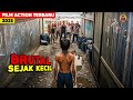 Sejak Kecil Dididik Jadi Mesin Pembunuh Brutal Para Mafia Alur Cerita Film Action Terbaru 2025