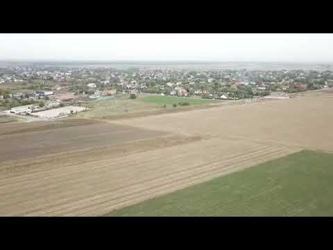 Loturi de vanzare Dascalu, Ilfov - Tarlaua 55