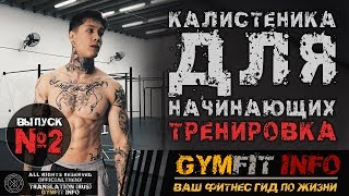 Воркаут калистеника: упражнения для новичков - Видео онлайн
