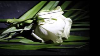 Winter song  Canadian Tenors &amp; Sarah McLAchlan