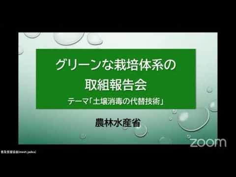  2024年2月に作付けするには、気候変動のため作物を再考する必要がある  庭園