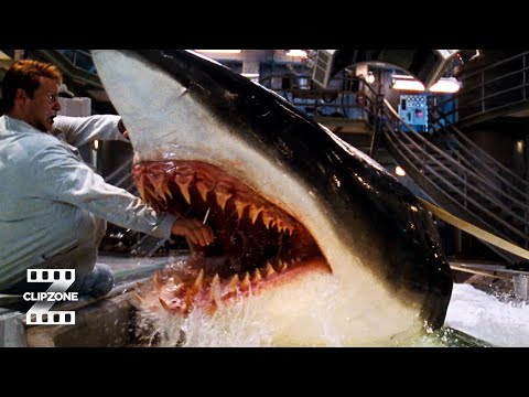 Deep Blue Sea | Jim Gets Bit | ClipZone: High Octane Hits