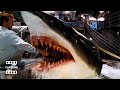 Deep Blue Sea Jim Gets Bit ClipZone High Octane Hits