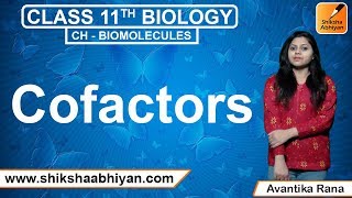 Cofactors | Biomolecules | CBSE Class 11 Biology