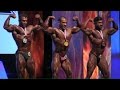 Mr Olympia Amateur Asia 2016 (Men's Bodybuilding) - Up to 85kg