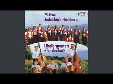 De Rotbroschttüechler