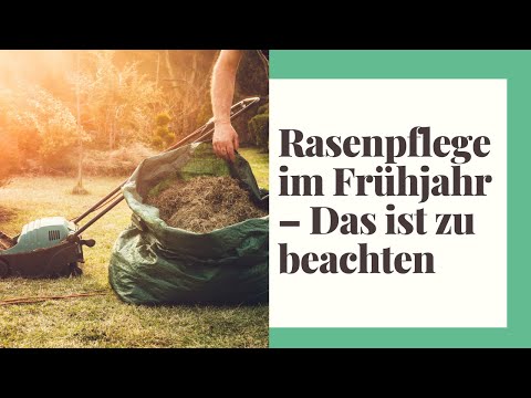 Lawn care in spring – What you need to consider