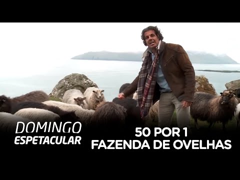 , title : 'Fazenda de Ovelhas, Ilhas Faroe'
