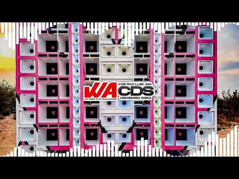 REY VAQUEIRO - COMO O VAQUEIRO VIVE - FORRÓ MÉDIOS FORTES - QUALIDADE PRA PAREDÃO - WACDS