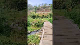 Download lagu Sawah yang damai di desa #damai #sawah #desa #keindahanalam #celanapendek mp3