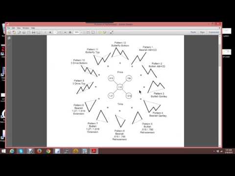 Larry Pesavento   The 12 Patterns