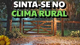 🌻NOITE de CHUVA na FAZENDA: Clima RURAL para DORMIR em Minutos