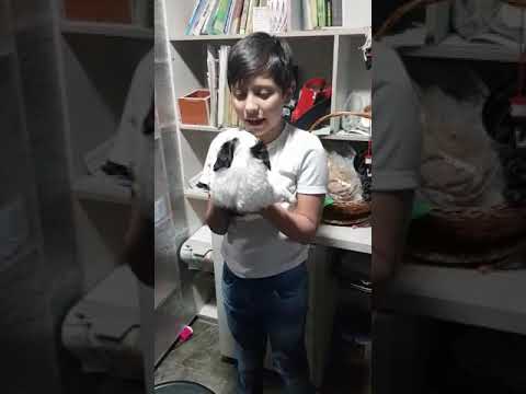 Aventuras Luz Marina Galvis Hernández, con mi nieto Miguel Ángel,  presenta a mascota.