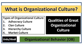 What is Organizational Culture? Its Types - Qualities of Great Organizational Culture