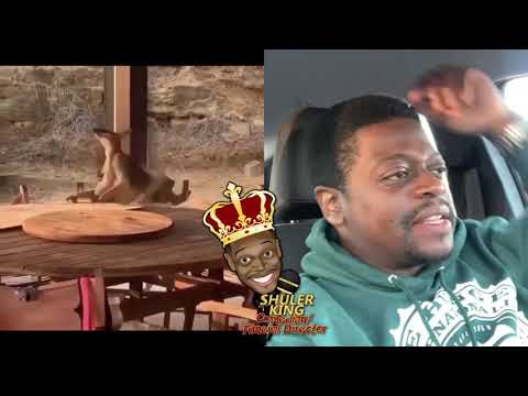 Shuler King - This Is That Family Reunion Fight!!!