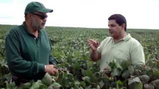 preview picture of video 'HS1 - Uruguay Soybean Plantation'