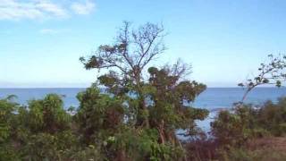 preview picture of video 'Badoc, Philippines...360 Degree View from top of Hill.MOV'
