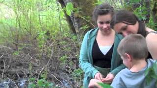 The Birth of Telemachus