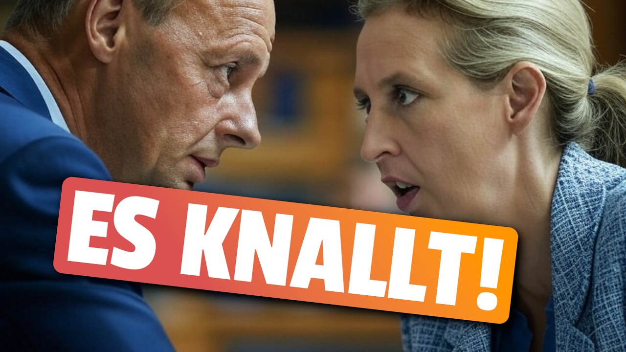 💥EILT: AfD SCHLÄGT juristisch gegen Merz ZURÜCK