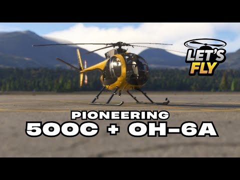 DETAILED Review: Taog's OH-6A & 500C for MSFS 2024