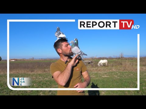 Tornado dhe Cunami ‘strehohen’ në Lushnje, i riu nuk e fsheh entuziasmin: Çfarë kënaqësie