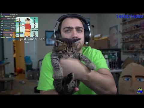 Alinity wrote this in Mizkif live chat