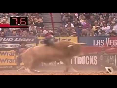 EDNEI CAMINHAS X SUNSHINE - PBR