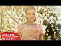 유튜브 다운로드 Göksel - Hayat Rüya Gibi... (Full Albüm)