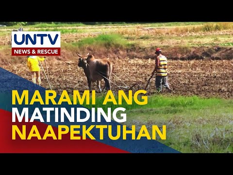 Mga nagdeklara ng state of calamity dahil sa El Niño, umabot na sa 103 — TF El Niño