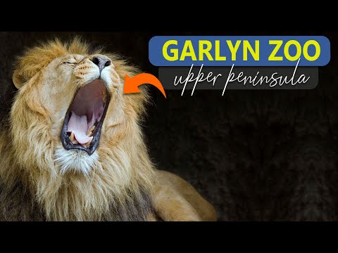 image-How long does it take to go through GarLyn zoo?