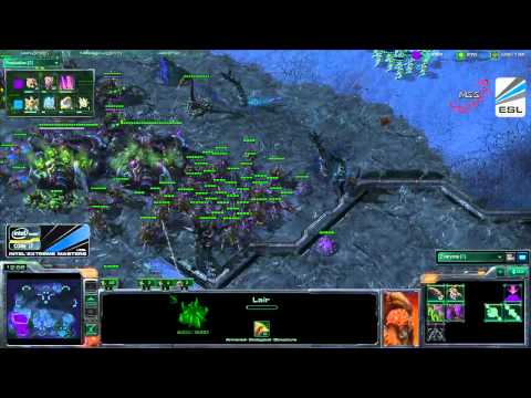 [RAW] Welcome to IEM Asia Finals with Kelly and HDPhoenix_3.flv