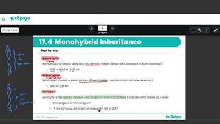 Monohybrid Inheritance