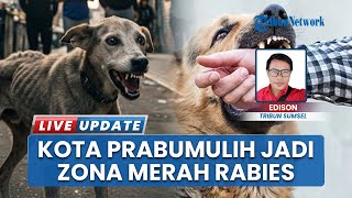 Prabumulih Masuk Zona Merah Rabies, Pemkot Gencar Gelar Vaksinasi Gratis Hewan Penular