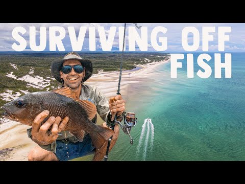 14 Days and a LOT more to go... Living off the Creeks + Ocean (1000miles from home)