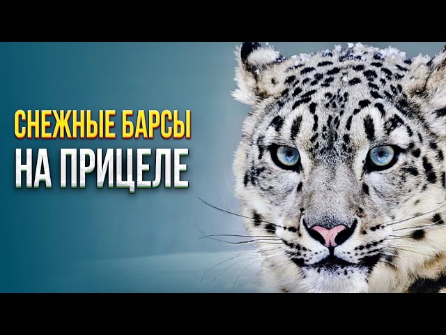 Главные новости 29.12.2023 г.