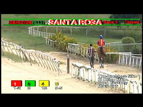 Arima Race Club - Day 2 February 28th 2026 Race -5