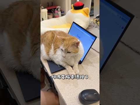 又一台電腦慘遭阿瑪毒手⋯
