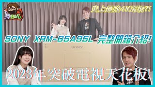 [心得] Sony 最強電視 65A95L 簡易開箱分享