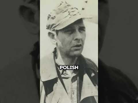 The execution of Commandant Amon Goth