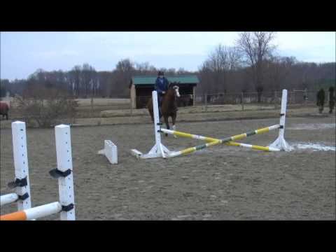 Q 2014 03 08 jump 05