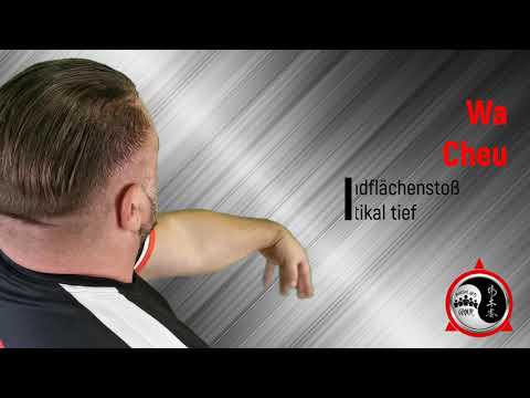 Siu Nim Tao Kleine Idee Satz 5 mit Beschreibung , unterschiedlichen Winkel & Geschwindigkeiten!