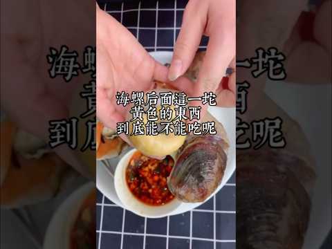 海螺後面這一坨黃色的東西是它的排泄物嗎，到底能不能吃呢？今天一條視頻給你講清楚！！！ #海螺