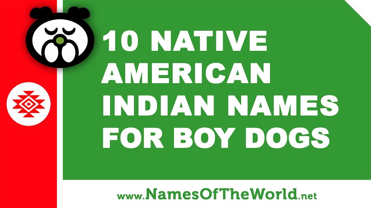 10 Native American Indian Names For Boy Dogs The Best Pet Names Www Namesoftheworld Net Names Of The World