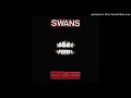 Swans-Power For Power