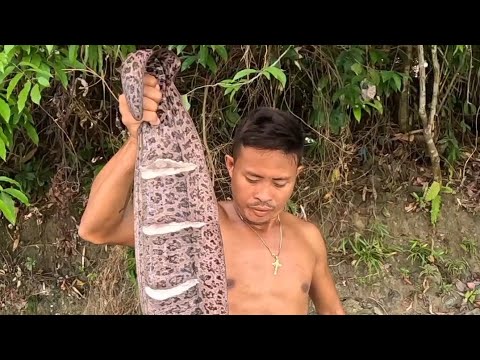 Paksiw sa Gata Giant indong or Moray Eel! 🐍😱