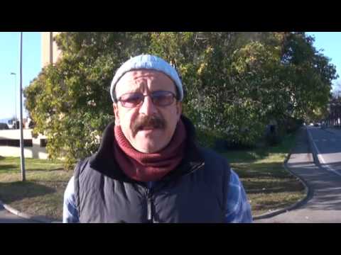 NUOVO ALLESTIMENTO ALLA ROTATORIA DELLE FORNACI