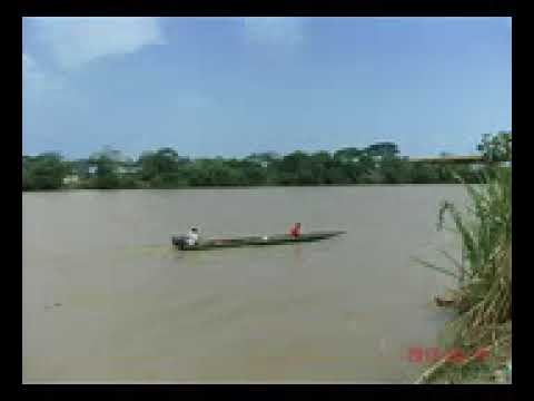 Canoero del Arauca   Reina Lucero