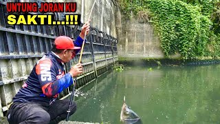 Download lagu Crazy This is the first time I've fished at the KERAMAT Water Gate Dam. My rod was hit by a large... mp3